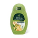 Felce Azzurra BIO Shower Gel Green Tea & Ginger 250ml
